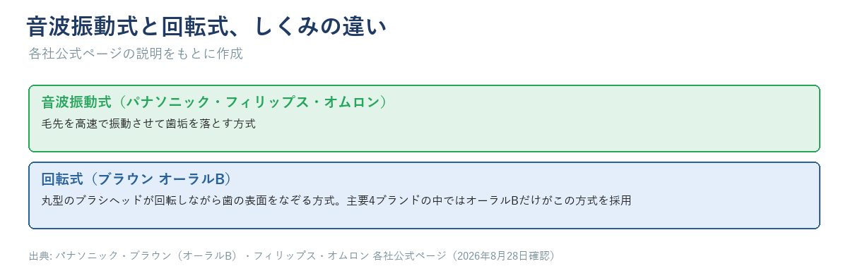 音波振動式は毛先が細かく振動し、回転式は丸いブラシヘッドが回転することを示す模式図